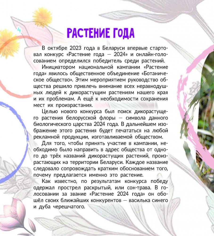 Прострел раскрытый. Растение года Беларуси фото книги 2