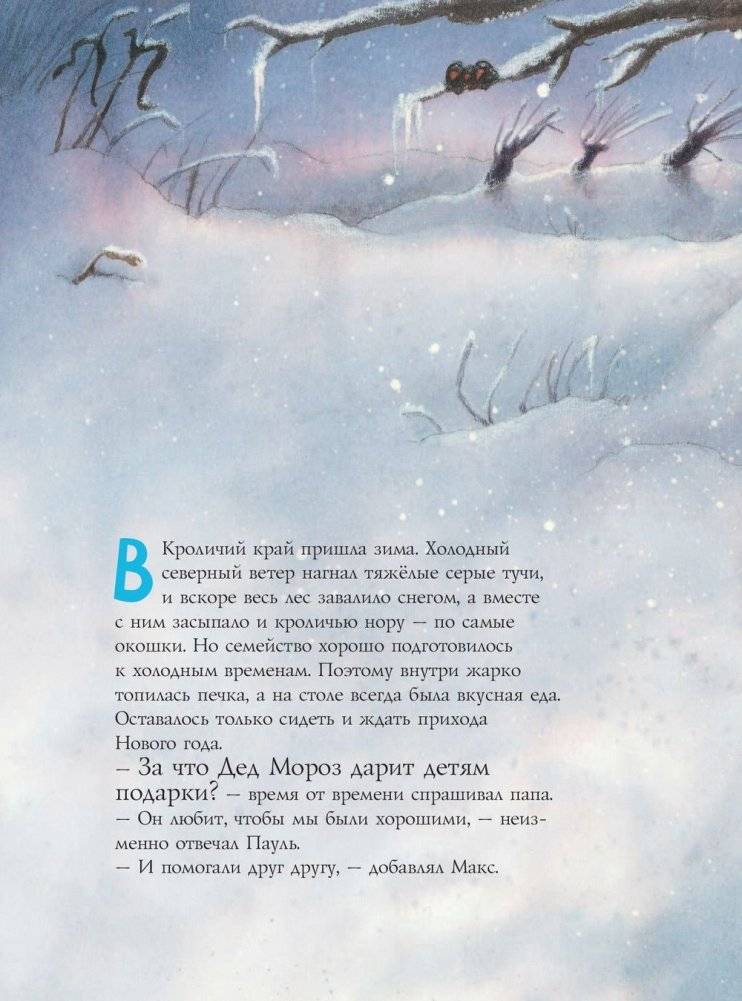 С Новым годом, Пауль! фото книги 7
