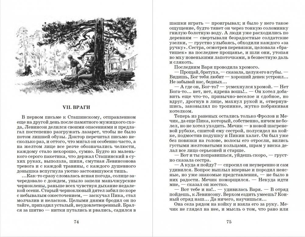 Разгром фото книги 5