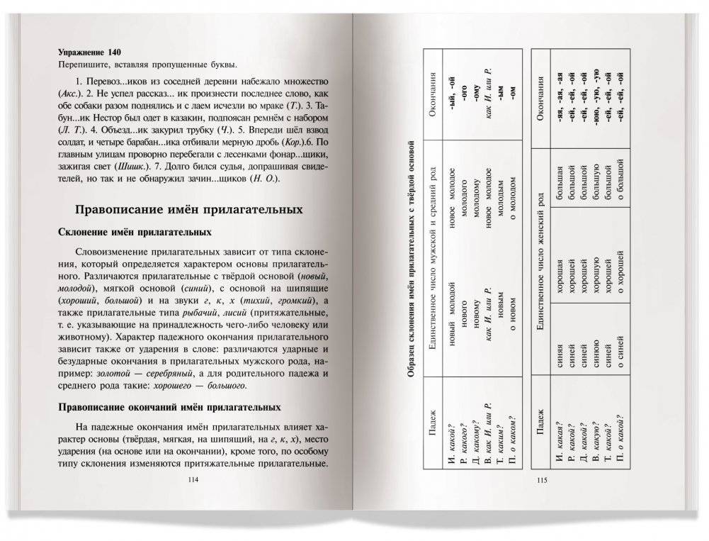 Русский язык. Орфография. Пунктуация фото книги 4