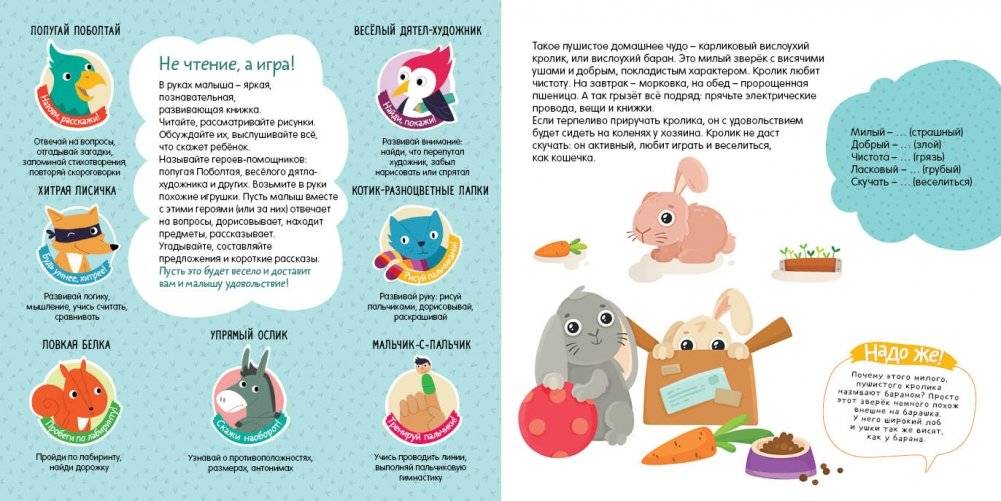 Домашние животные фото книги 3