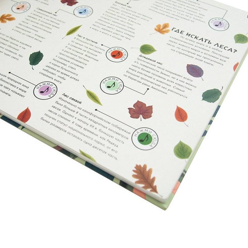 Звуки природы. Звери фото книги 5