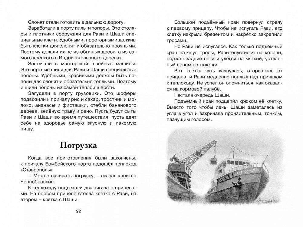 Зачем белке хвост фото книги 4