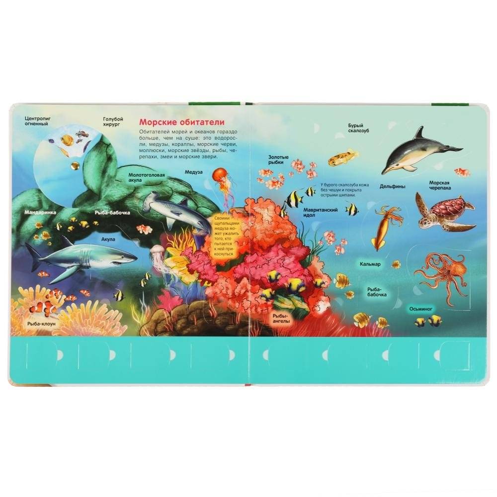 Первая энциклопедия малыша "Животные" фото книги 3