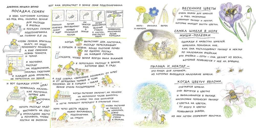 Весна мишки Бруно фото книги 4