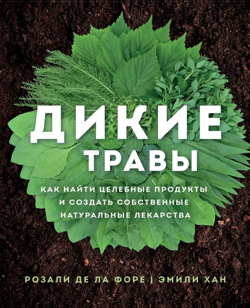 Дикие травы: как найти целебные продукты и создать собственные натуральные лекарства фото книги