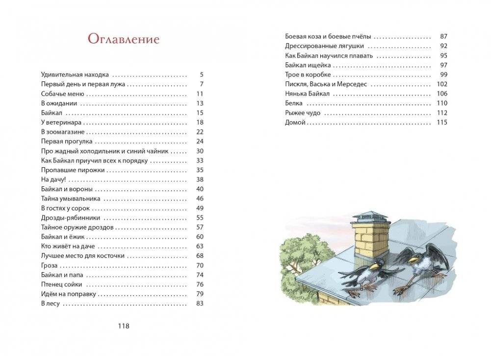 Найден щенок! Просьба не беспокоиться фото книги 6