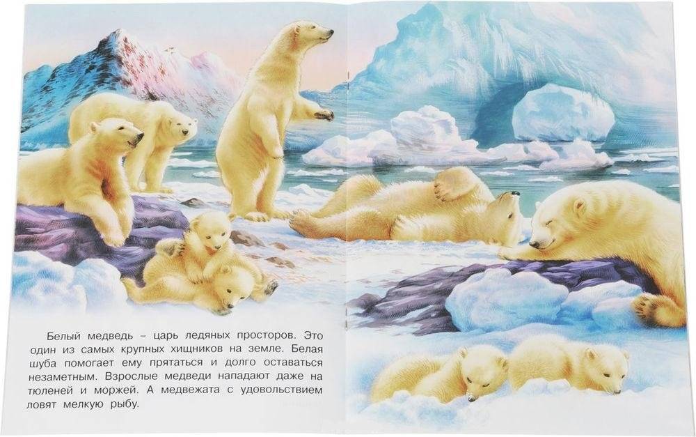 На полюсе фото книги 2