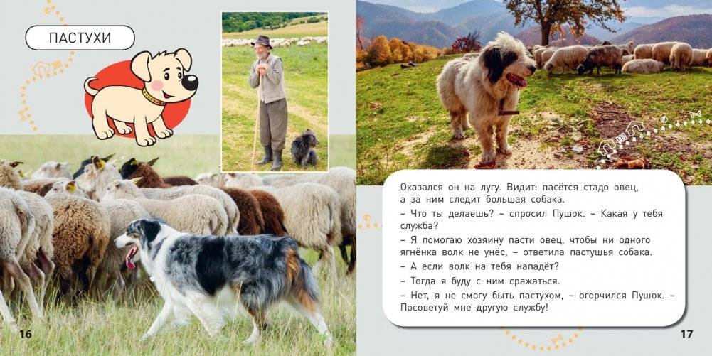 Какие бывают собаки? фото книги 4