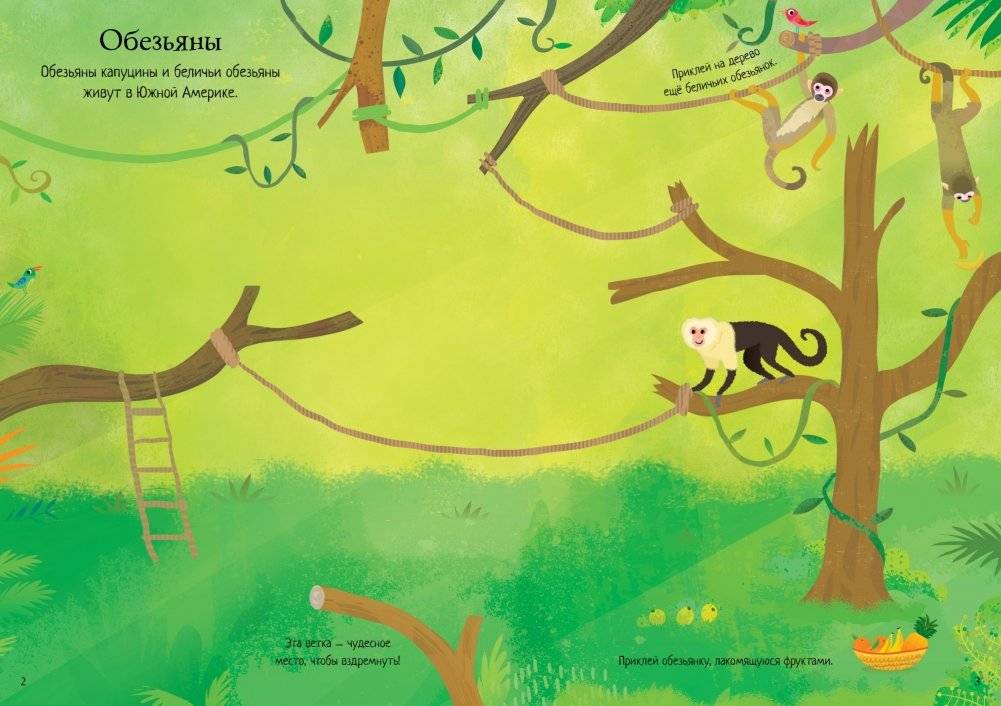 Зоопарк фото книги 2