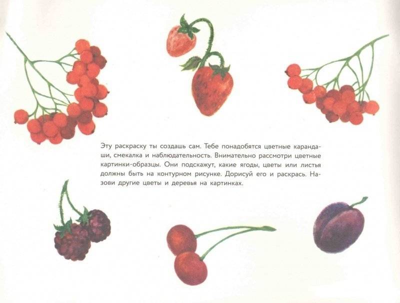 Альбом для раскрашивания. Угадай, нарисуй, раскрась фото книги 3