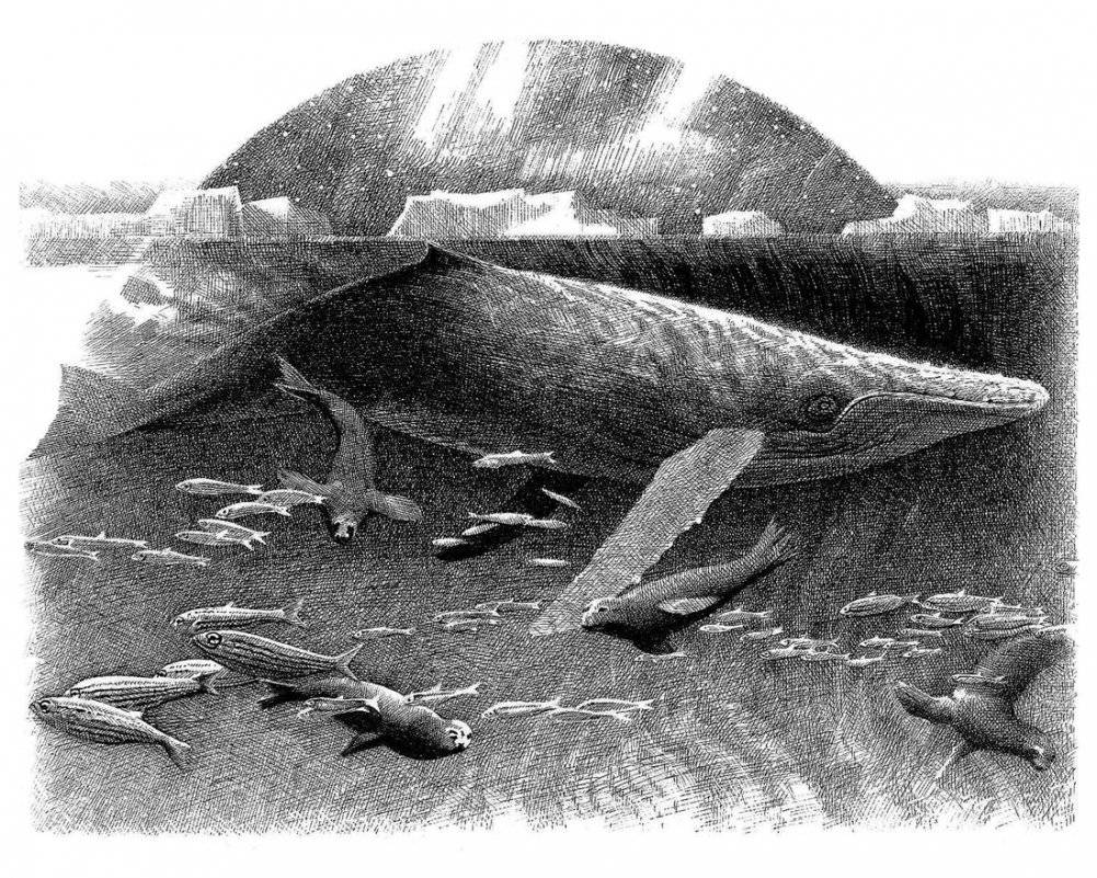 Хроники темных времен. Книга 9. Волчья погибель фото книги 2