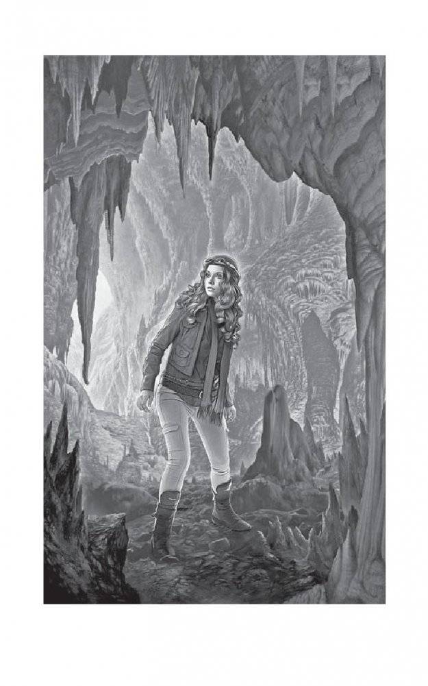 Янтарь лорда демонов. Меченная тьмой фото книги 3