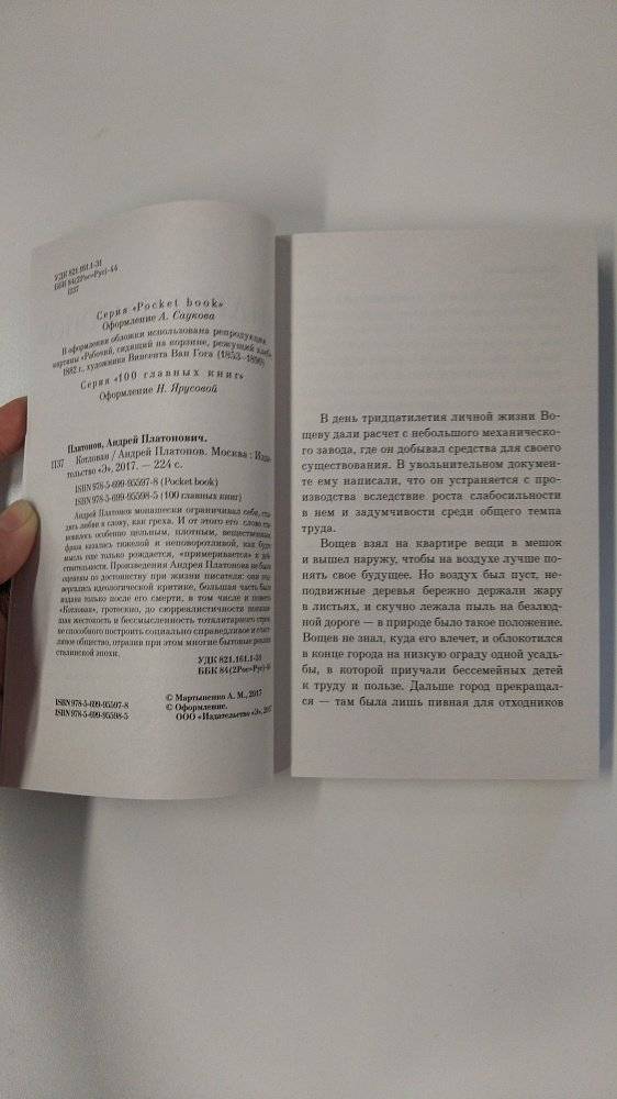 Котлован фото книги 3