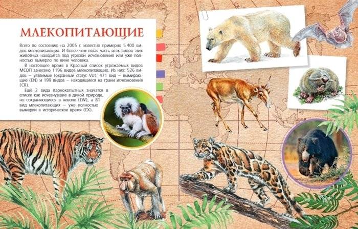 Красная книга мира фото книги 3
