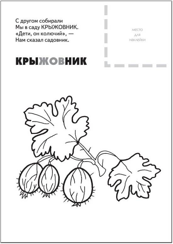 Раскраска с наклейками. Ягоды фото книги 5