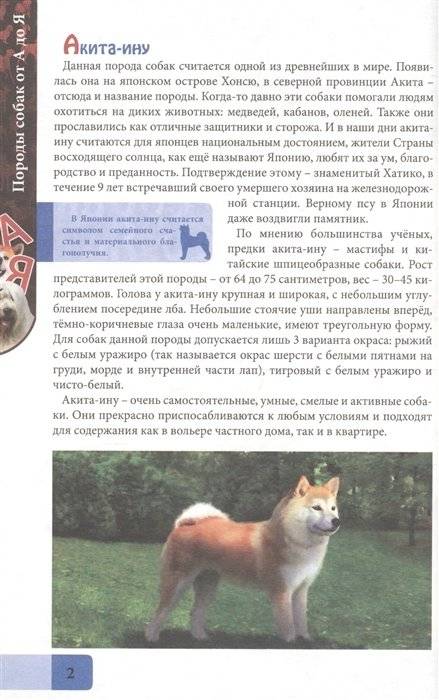 Породы собак от А до Я фото книги 2