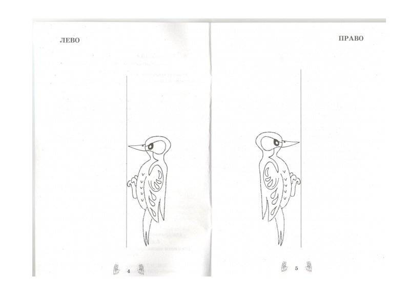 Развитие межполушарного взаимодействия у детей фото книги 3