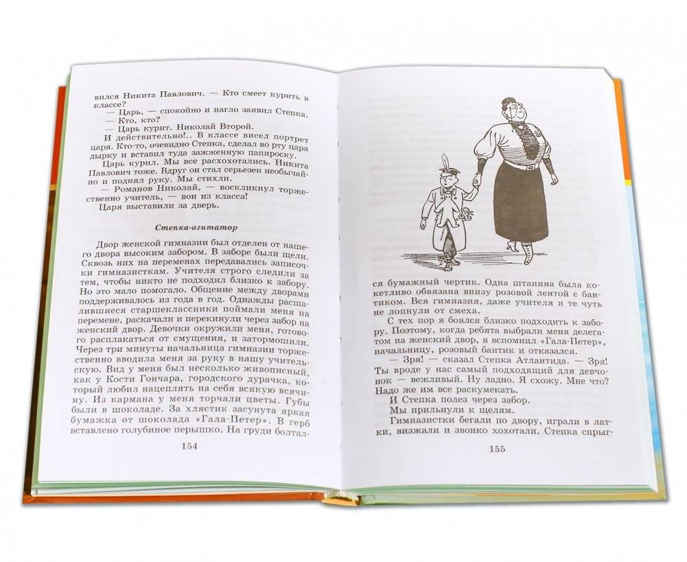 Кондуит и Швамбрания фото книги 3