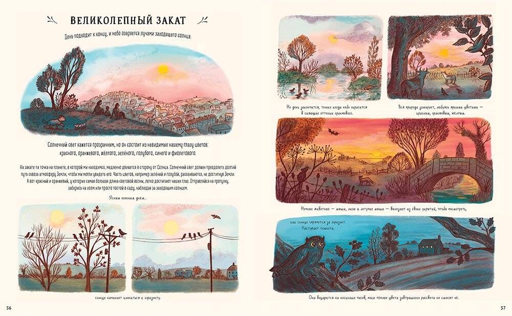 Оглянись вокруг. 50 маленьких событий в живой природе, ради которых стоит замедлиться фото книги 6