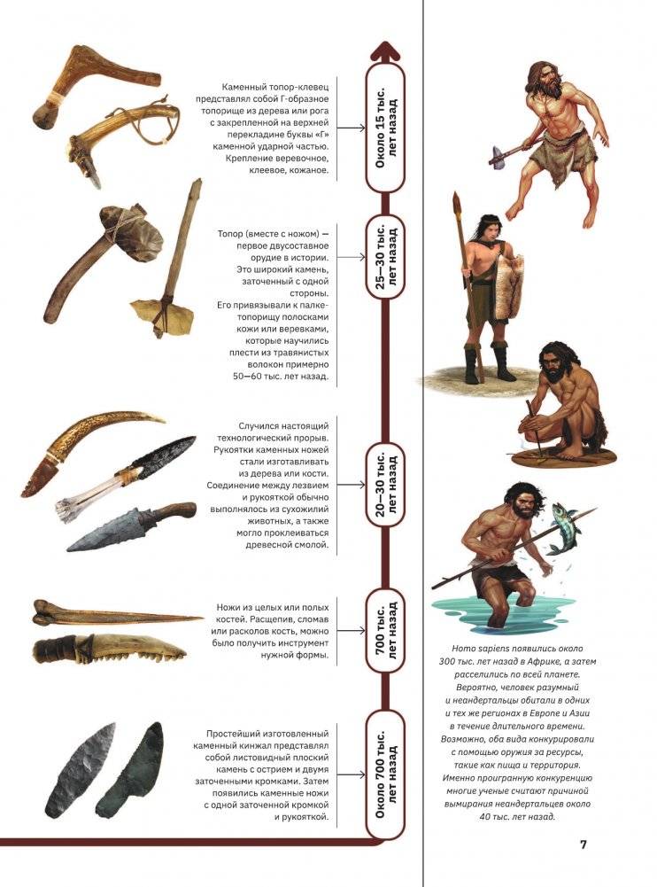 Оружие фото книги 8