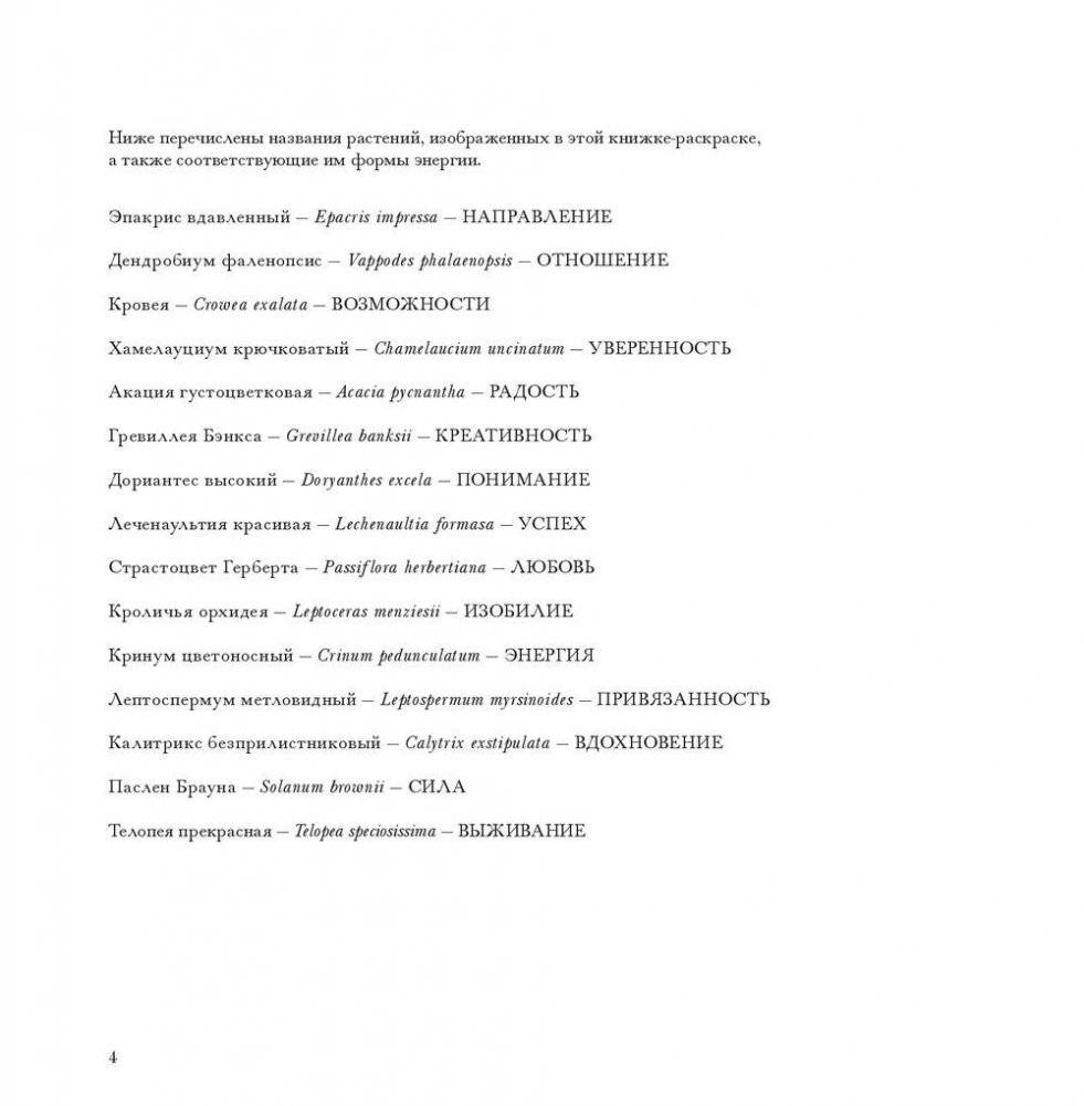 Флоросфера. Вдохновение фото книги 2