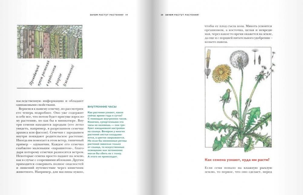 Детский университет. Книга 3. Исследователи объясняют загадки мира фото книги 8