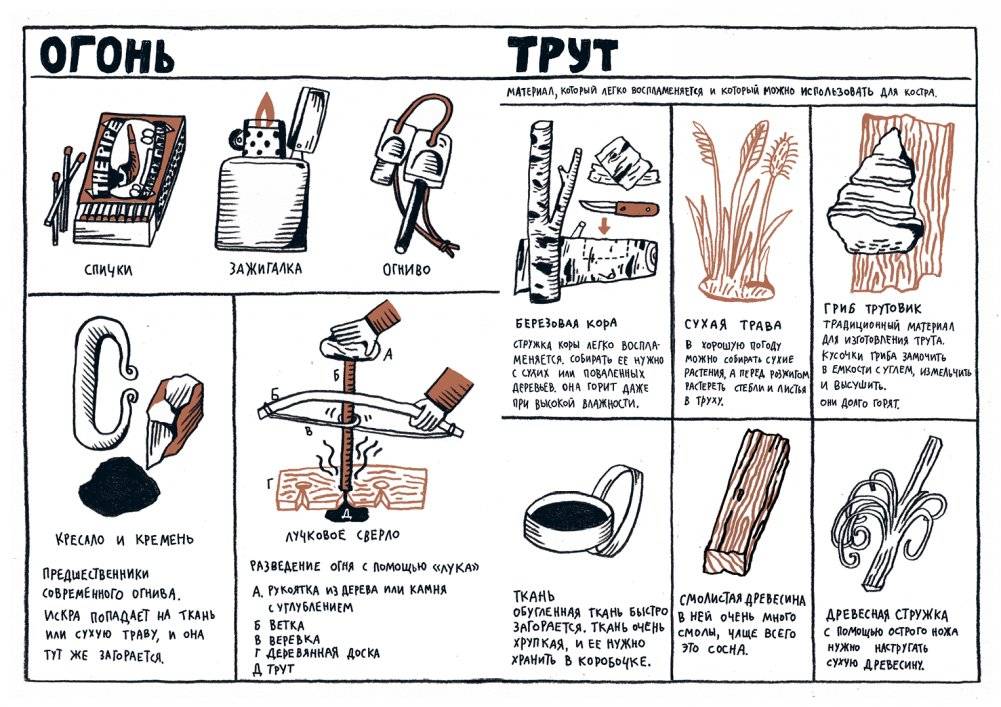 Руфус в лесу фото книги 3