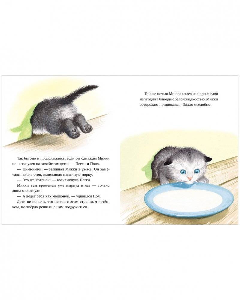 Как котёнок Микки был мышкой фото книги 3