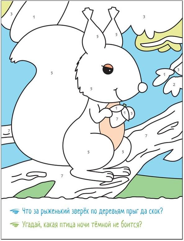 Раскрашиваем по цифрам. В лесу фото книги 5