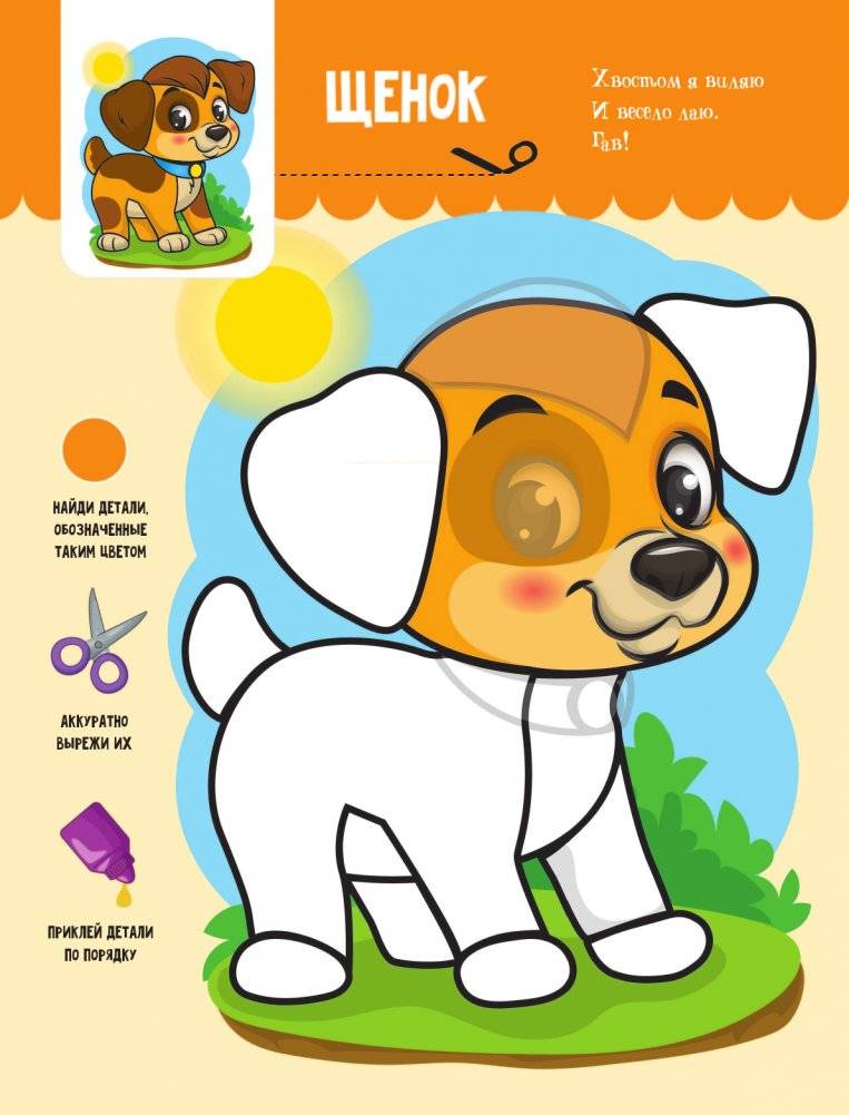 Домашние животные фото книги 3