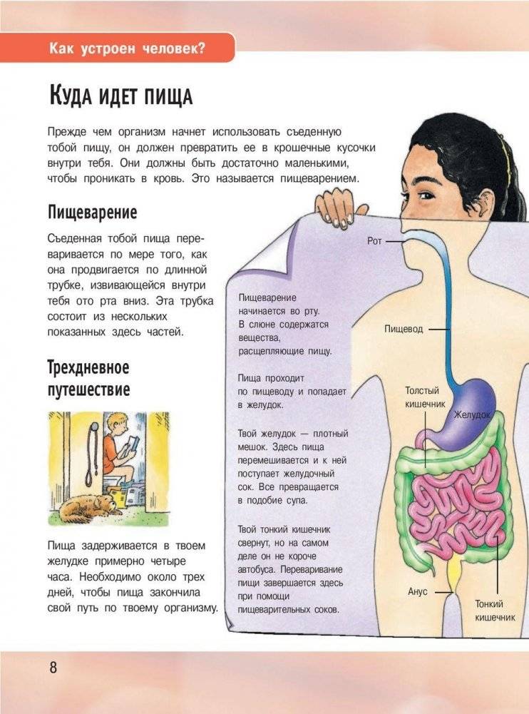 Иллюстрированная энциклопедия отчего и почему фото книги 9