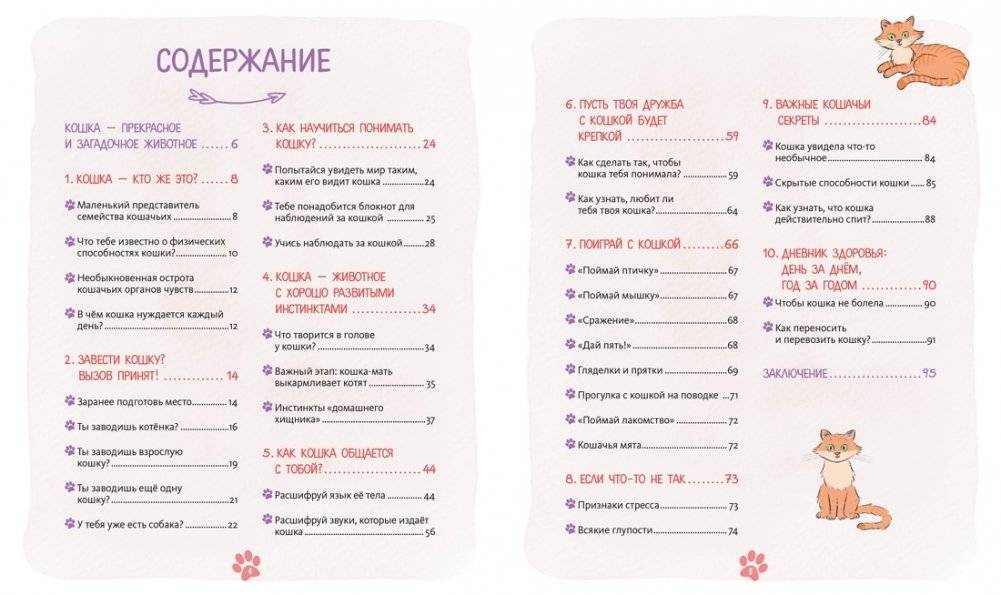 Я и моя кошка. Как понять питомца и стать ему другом фото книги 2