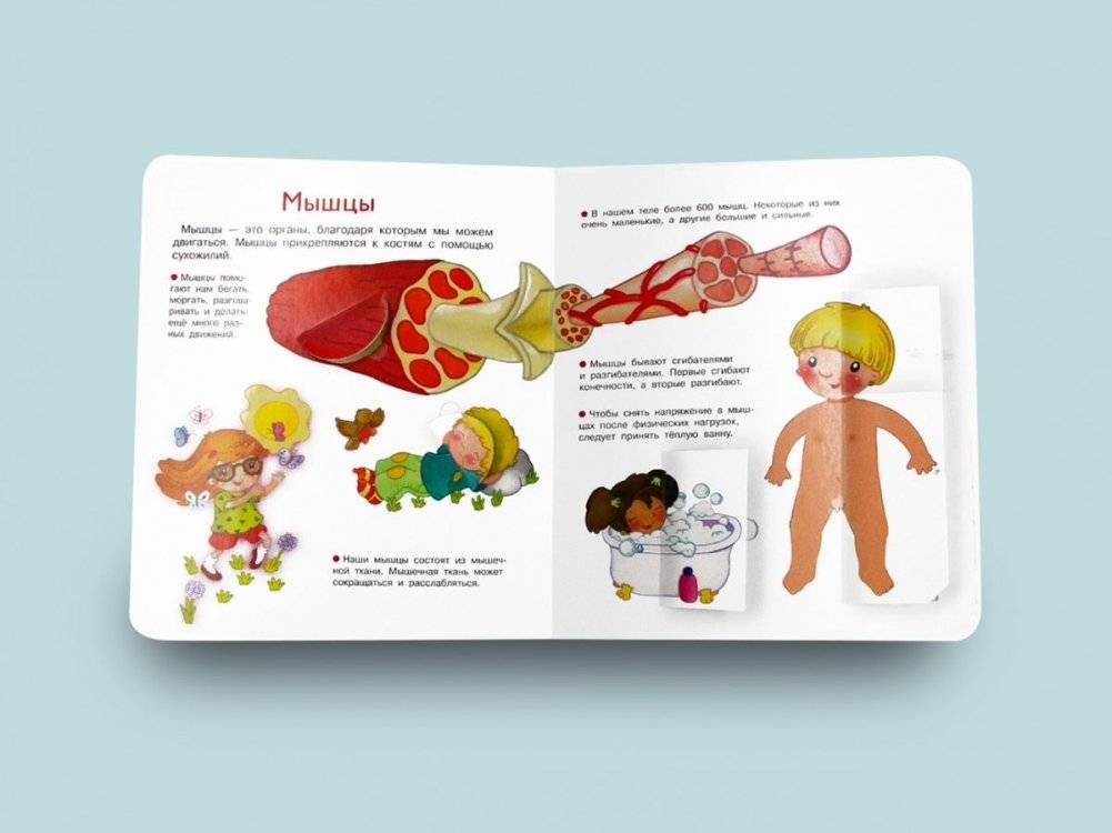 Что? Почему? Зачем? Наше тело фото книги 5