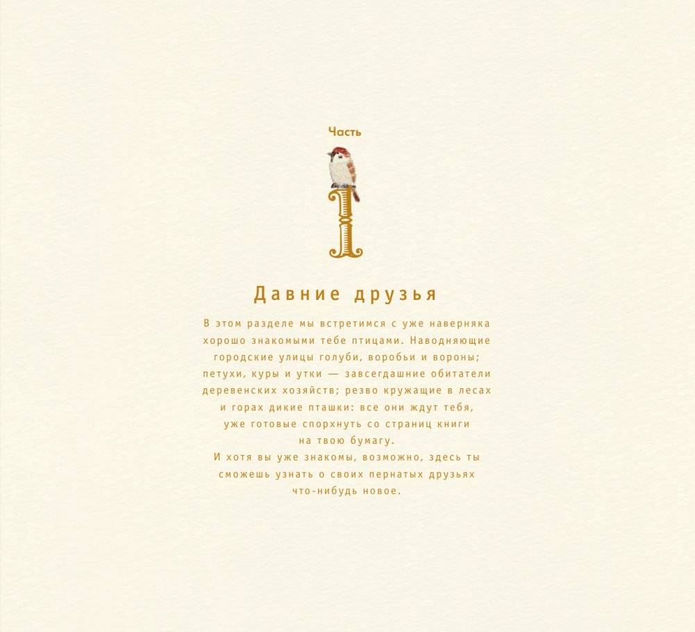 Рисуем милых птиц фото книги 12