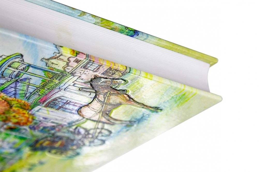 Истории курортной жизни на Водах ХХ века фото книги 2