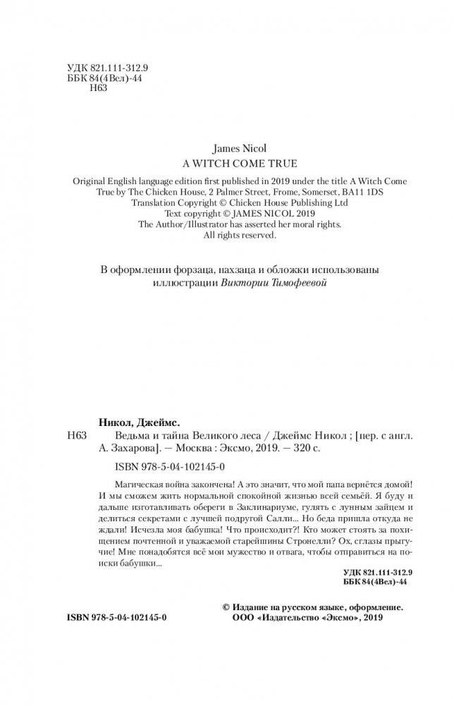 Ведьма и тайна Великого леса фото книги 12