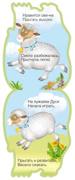Овечка фото книги 3