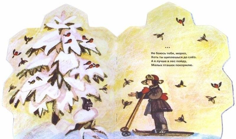 Зимушка-зима фото книги 2