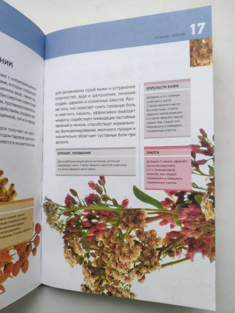 Ароматерапия для начинающих. Сила бодрящих запахов фото книги 6