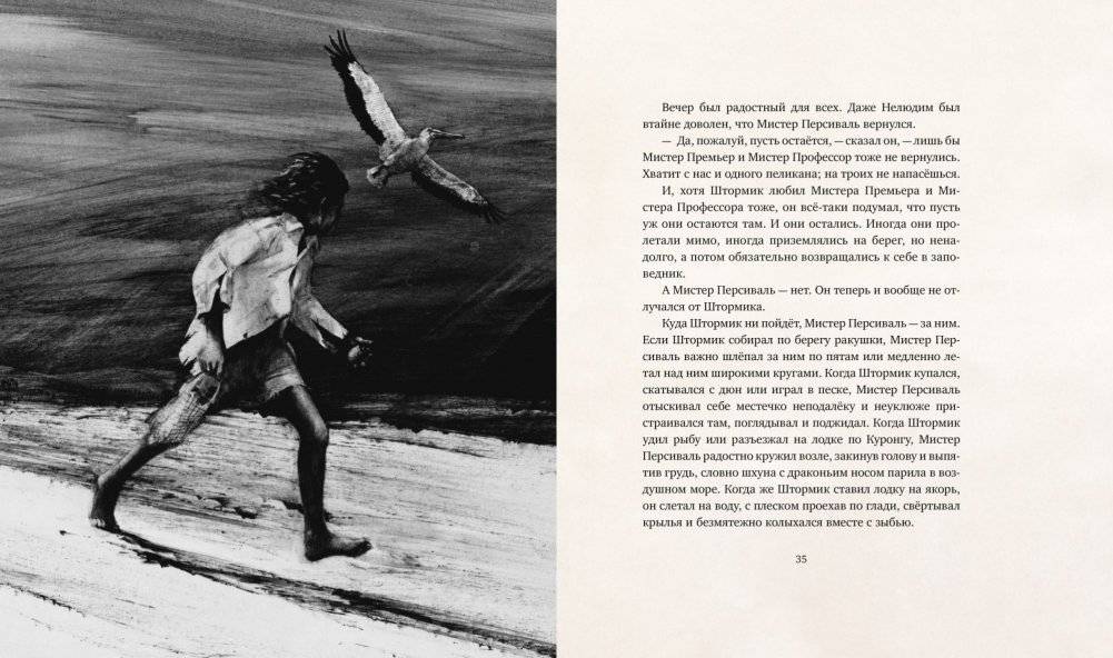 Штормик и мистер Персиваль фото книги 5