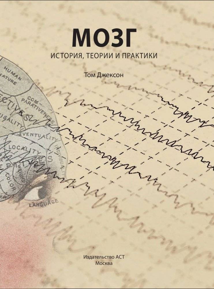 Мозг. История, теории и практики фото книги 7