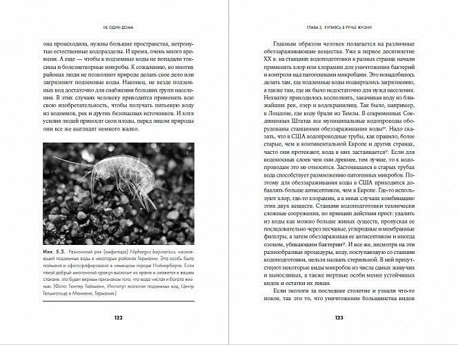 Не один дома. Естественная история нашего жилища от бактерий до многоножек, тараканов и пауков фото книги 3