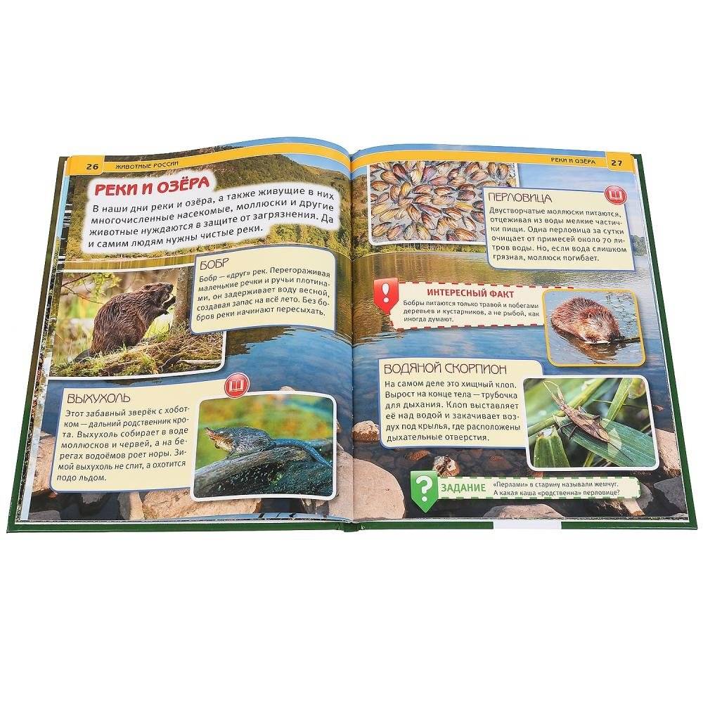 Животные России фото книги 4