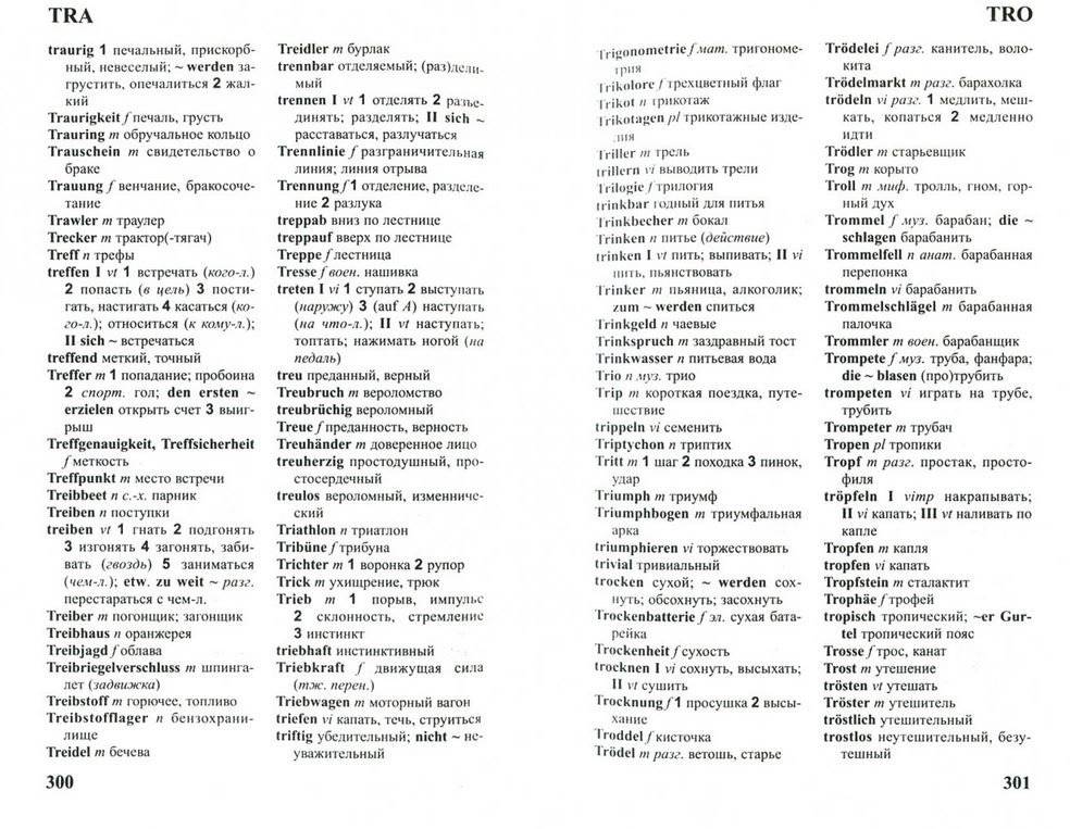 Немецко-Русский, Русско-Немецкий словарь. 120 тысяч слов фото книги 2