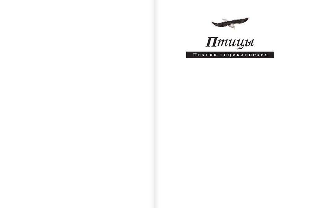 Птицы. Полная энциклопедия фото книги 2