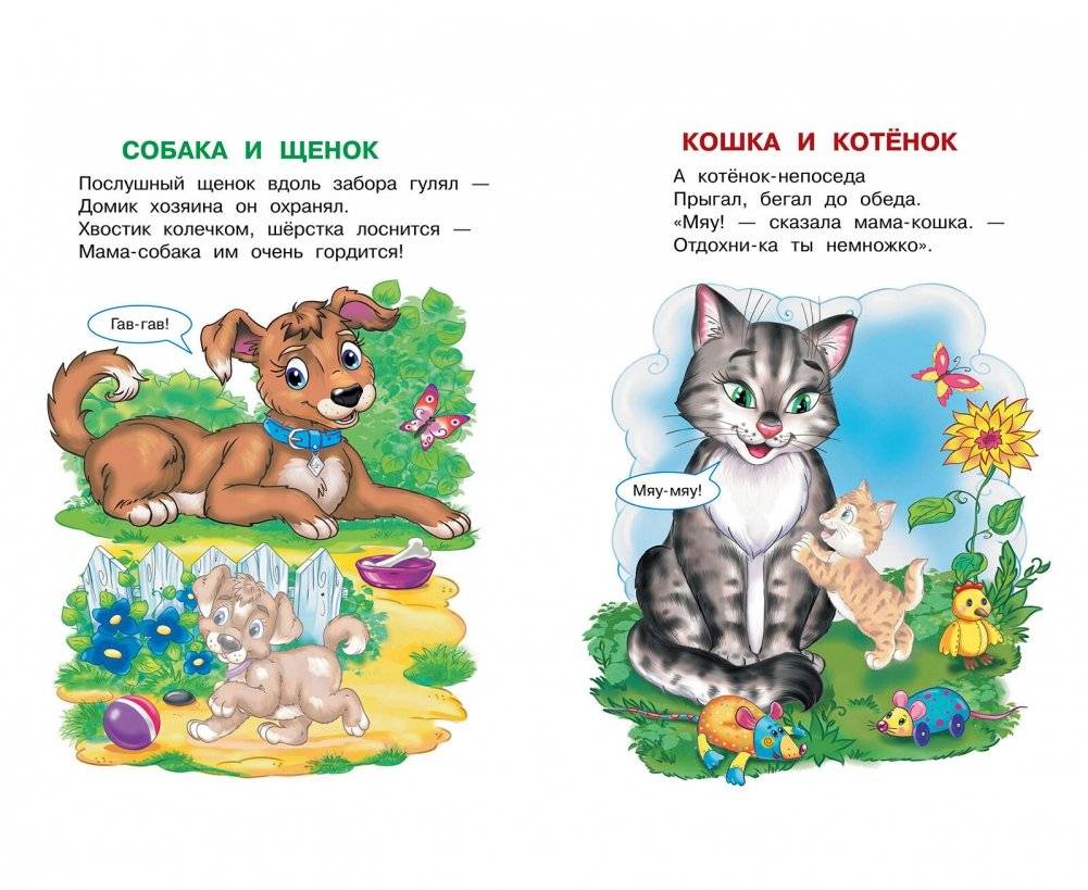 Домашние животные фото книги 3