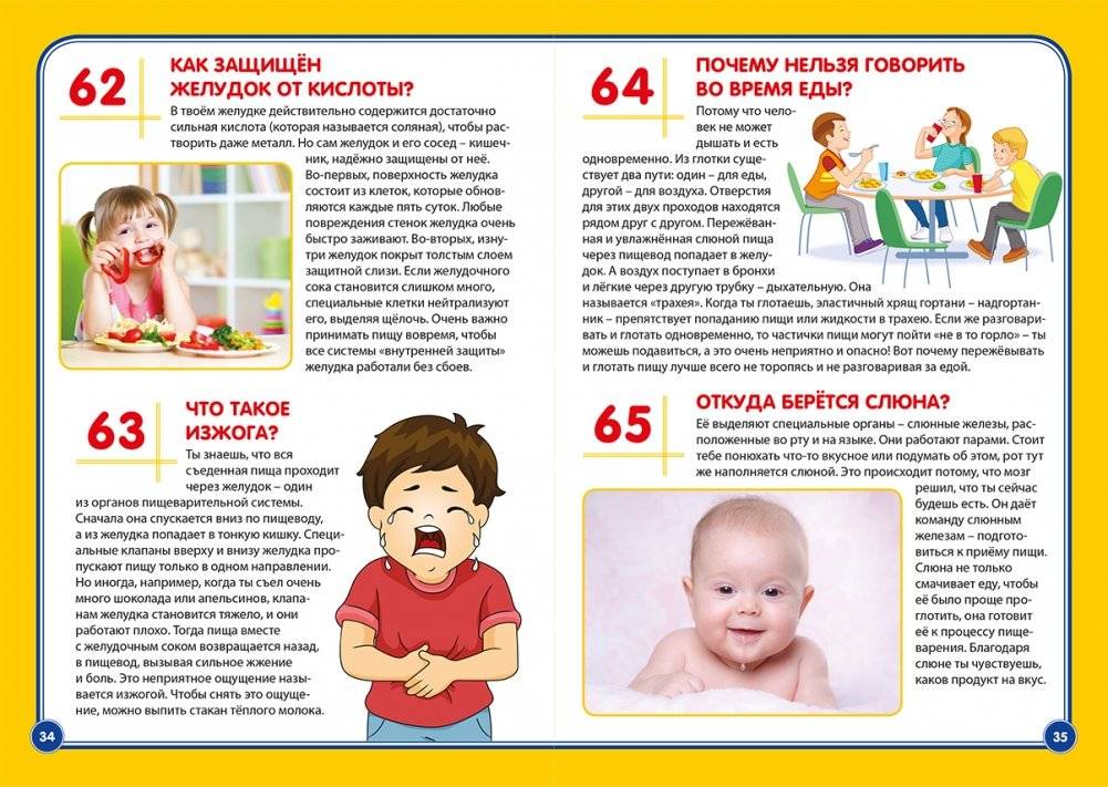 Тело человека. Почемучкам и любознательным фото книги 2