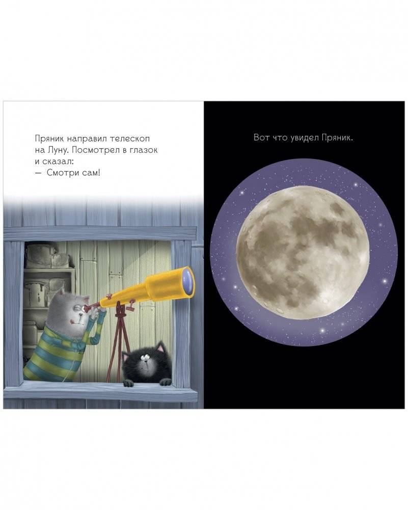 Котенок Шмяк и лунный кот фото книги 4
