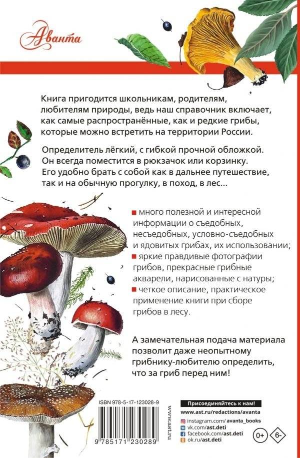 Грибы России фото книги 2